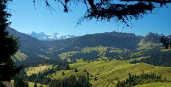 Honegg – höchster Punkt der aussichtsreichen Wanderung